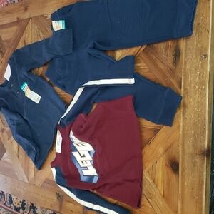 3 pcs Garanimals ; 2 tops and 1 Jogger pant size 3T